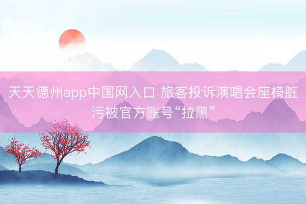 天天德州app中国网入口 旅客投诉演唱会座椅脏污被官方账号“拉黑”