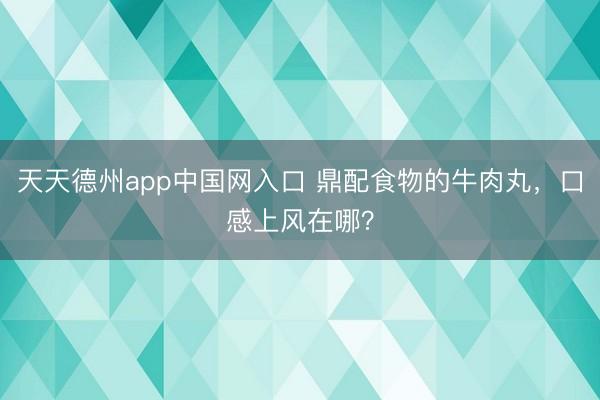 天天德州app中国网入口 鼎配食物的牛肉丸，口感上风在哪？