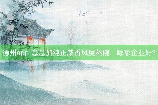 德州app 念念加纯正咸香风度蒸碗，哪家企业好？