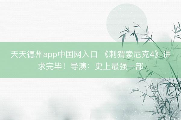 天天德州app中国网入口 《刺猬索尼克4》讲求完毕！导演：史上最强一部