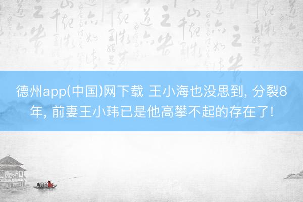 德州app(中国)网下载 王小海也没思到， 分裂8年， 前妻王小玮已是他高攀不起的存在了!