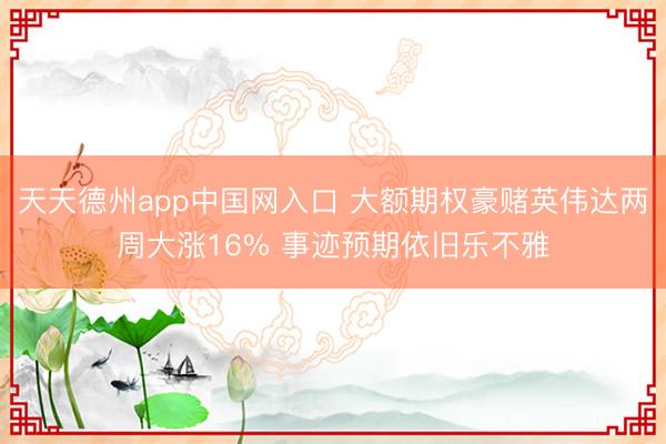 天天德州app中国网入口 大额期权豪赌英伟达两周大涨16% 事迹预期依旧乐不雅
