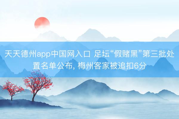 天天德州app中国网入口 足坛“假赌黑”第三批处置名单公布， 梅州客家被追扣6分
