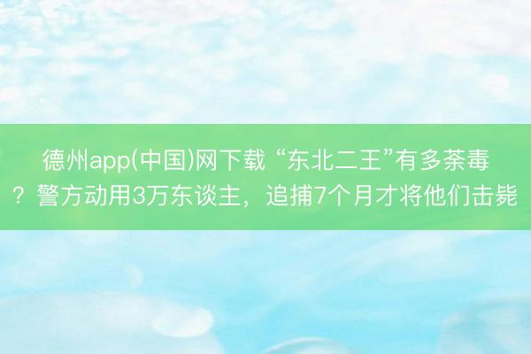 德州app(中国)网下载 “东北二王”有多荼毒？警方动用3万东谈主，追捕7个月才将他们击毙