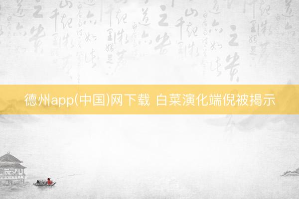 德州app(中国)网下载 白菜演化端倪被揭示