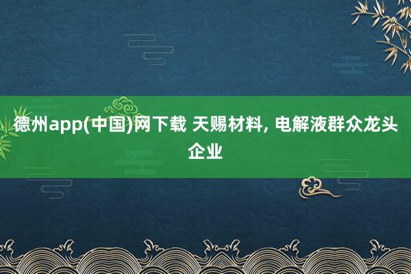 德州app(中国)网下载 天赐材料, 电解液群众龙头企业